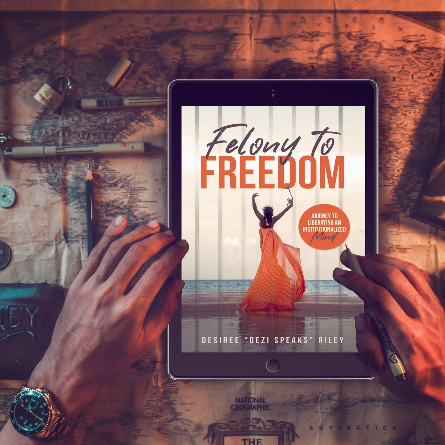 Felony to Freedom: Journey to Liberating an Institutionalized Mind (Downloadable)
