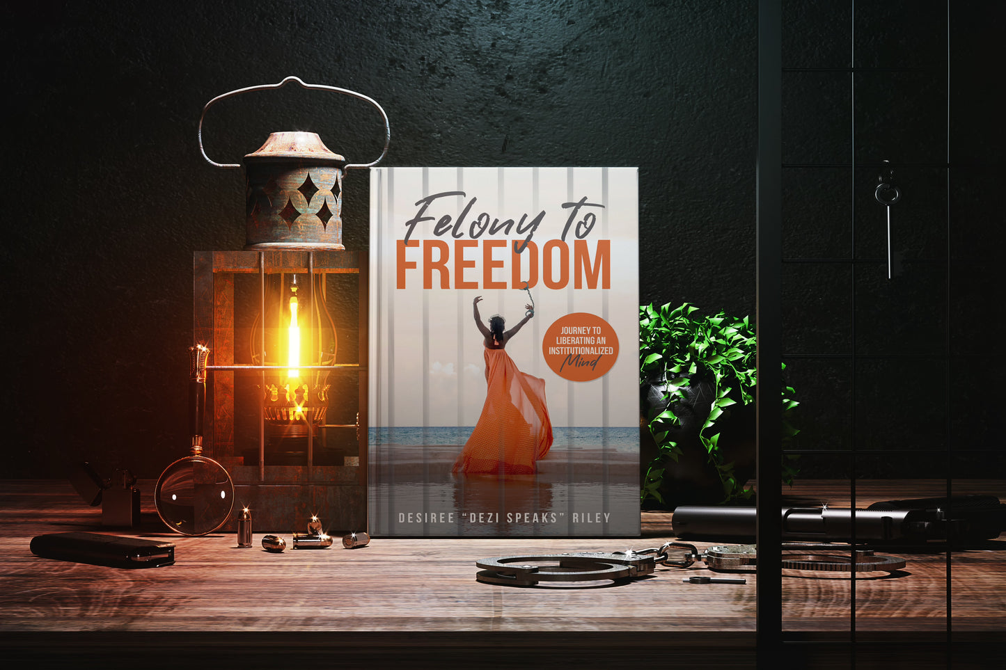 Felony to Freedom: Journey to Liberating an Institutionalized Mind (Printable)