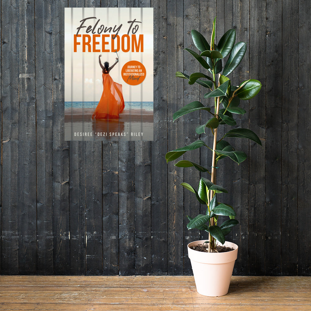 FELONY TO FREEDOM Poster