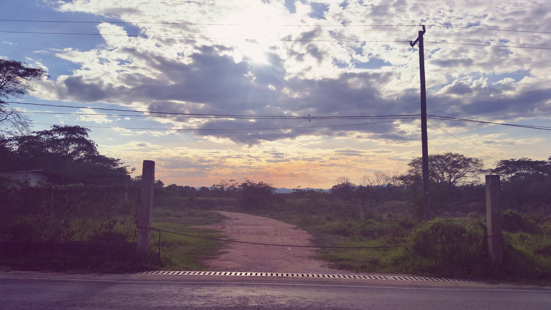 Tour of San Ignacio, Belize: On-Foot and By Taxi. (VIDEO)