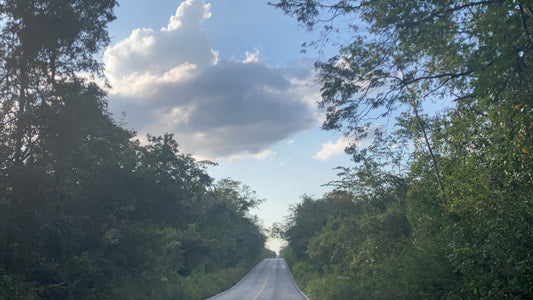 FREE Road from Chichén Itzá to MÉRIDA!