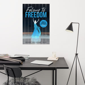 FELONY TO FREEDOM (Inverse) Poster
