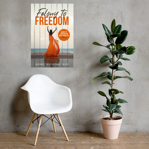 FELONY TO FREEDOM Poster